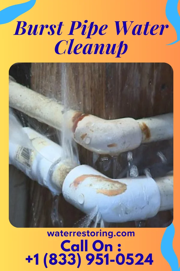 Burst Pipe Water Cleanup in Hedley, TX